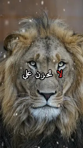 لا تحزن على من يتغير عليك فجاة👉 فقد كشف لك قيمته الحقيقية👌 #خواطر #اكسبلور #اقتباسات #fyp #حكمة 