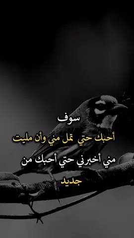 #افضل_عبارة_لها_تثييت ##اجمل_عبارة_راح_ثبتها📌 #عباراتكم_الفخمه📿📌 #عبارات 