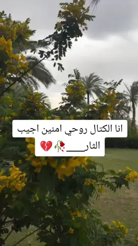 #احبكم_يا_احلى_متابعين💗 #ذواقين__الشعر_الشعبي #صعدوني_1000لايك ##صعدوني_1000لايك 