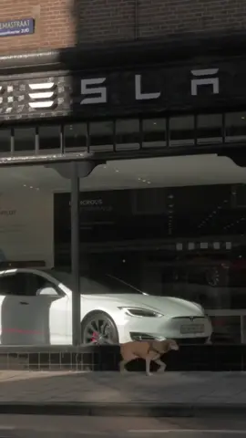 ⚡🚗 Deep Dive: The REAL History of Tesla & Why Elon Musk Isn’t the Inventor! 🤯 Did you know Martin Eberhard and Marc Tarpenning actually founded Tesla? 👉 How these pioneers kickstarted the EV revolution ⚙️ 👉 Elon Musk’s role and how he changed Tesla forever 🔥 👉 The untold story behind the company that changed electric cars 🚘 Get ready for the truth about Tesla’s origins! #TeslaHistory #MartinEberhard #MarcTarpenning #ElonMusk #EVRevolution #Dealerhop #ElectricCars #CarHistory