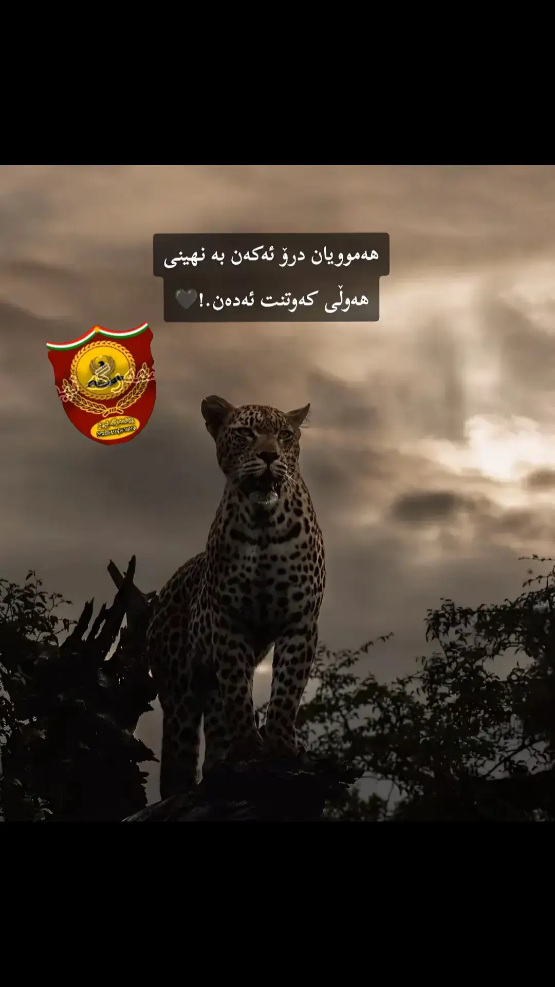 #peshmarga #foryou #fyp #foryoupage #کوردستان🇹🇯️ 
