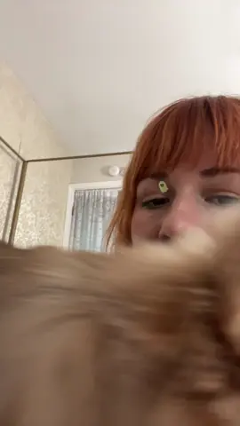 Explaining Halloween to a puppy. #zhailey2025 #aurelio #halloween #trickortreat