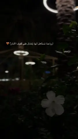 #الشعب_الصيني_ماله_حل😂😂 #متابعه_ولايك_واكسبلور_احبكم #إعادة_نشر #منتجع_بصمة_البكيرية 