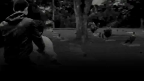 solo ser feliz... #viral #paratii #canserbero #lirycs