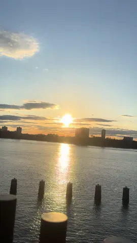 #LIVEIncentiveProgram #JustGoLIVE #PaidPartnership 