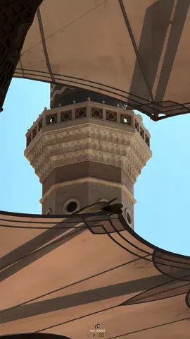 فالكبر أمره خطير ويكفي المرء أن يكون في قلبه مثقال ذرة من كبر ليُحرم الجنةَ ونعيمَها فعَنْ عَبْدِ اللَّهِ بْنِ مَسْعُودٍ عَنِ النَّبِيِّ - صلى الله عليه وسلم - قَالَ: «لاَ يَدْخُلُ الْجَنَّةَ مَنْ كَانَ فِي قَلْبِهِ مِثْقَالُ ذَرَّةٍ مِنْ كِبْرٍ» (رواه مسلم) #عبدالمحسن_القاسم#اكسبلور#foryou#fyp#foryoupage