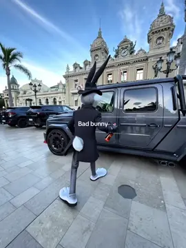 Bad rabbit #millionaire #luxury #life #monaco 
