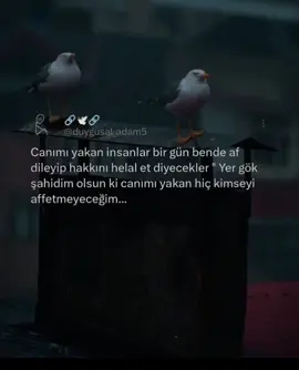 affetmeyeceğim...🍂🔏#duygusal_adam5 #siverekly_derdo #fypシ゚ #🥀🍂🖤 #🥀💔🍂 