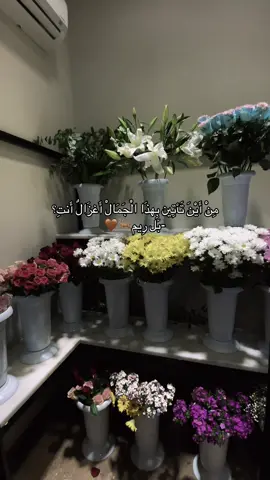 #ريم_الغزاله🦌 #اغدا_القاك_بدون_موسيقى#مرعشلي_maraşlı #اكسبلورexplore #كهرمان_مرعش 
