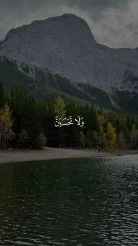 وأن الله لا يضيع أجر المؤمنين🩵 #قرآن #راحة_نفسية #قران #احمد_العجمي #quran