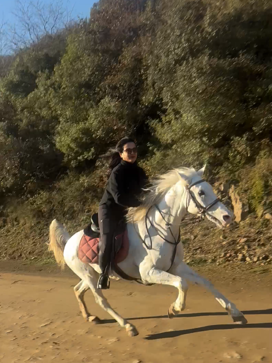 @KORKUTATA AT ÇİFTLİGİ  * #kesfetteyiz #kesfet #speed #binicilik #horse #horsegirl #horseriding #equestrian 