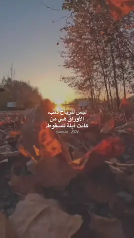 ✨ليس للرياح ذنب✨ #CapCut #اقتباسات #خواطر #fyp #explore 