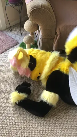 We still love her! #furries #fursuit #fursuiter #fursuiting #fursuitmaker 