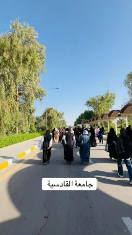 #جامعة_القادسية 