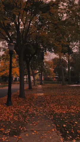 moody autumn 🍂  #fyp #ambient #liminal #nostalgia #autumn 