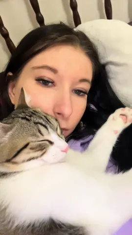 #pourtoi #foryour #bebechat 