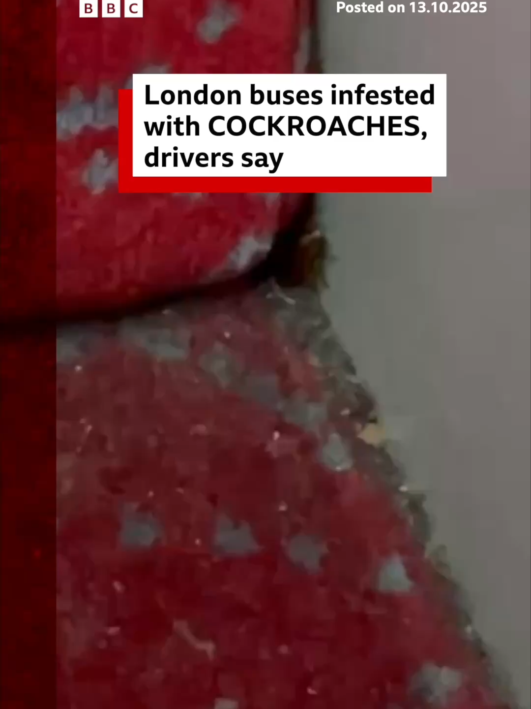Have you seen any cockroaches on London buses? #London #LondonBus #TransportForLondon #TFL #Cockroaches #BBCNews