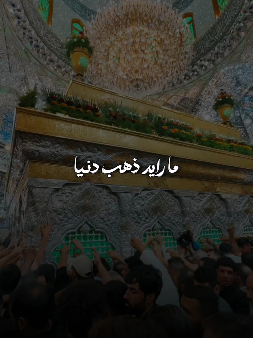 مارايد ذهب دنيا واريدن معدن ترابك وعندي الخير اذا تقبل اخدمك وابجي لمصابك . . . #محمد_باقر_الخاقاني #اللهم_عجل_لوليك_الفرج #اللهم_صل_على_محمد_وآل_محمد #كربلاء_الحسين #العتبة_الحسينية_المقدسة 