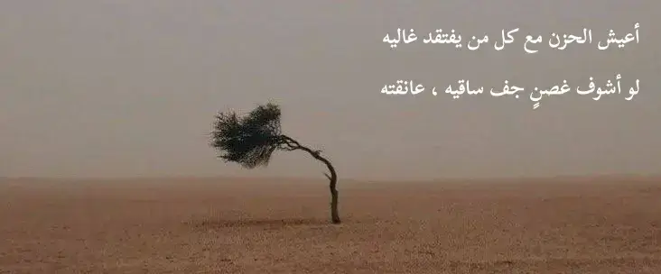 #اكسبلور 
