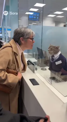 Discusión en el banco #viral #discusion #gato #sora2ai 