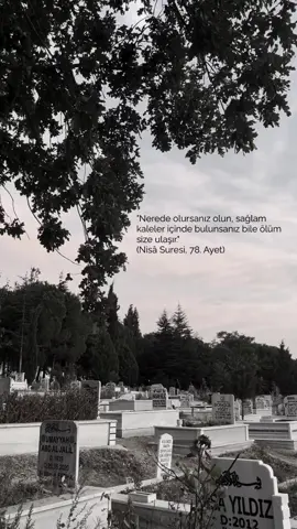 “Kullu nefsin zâikatü’l-mevt.” (Her nefis ölümü tadacaktır.) — Âl-i İmrân 3:185 Devamında ise şöyle buyrulur: “Ancak kıyamet günü yaptıklarınızın karşılığı size eksiksiz verilecektir. Kim cehennemden uzaklaştırılıp cennete sokulursa, işte o kurtuluşa ermiştir. Dünya hayatı aldatıcı bir metadan başka bir şey değildir.”#kuran#keşfet 