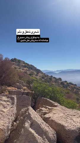 حل نابێ خۆ بە زۆر نیە😅🖤#foryou #kurdistan #kalar #darbandixan #fyppppppppppppppppppppppp 