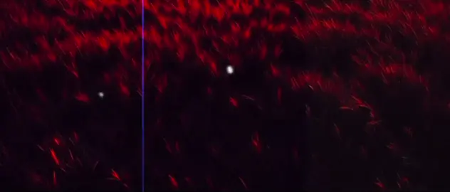 #fffffffffffyyyyyyyyyyypppppppppppp #الشعب_الصيني_ماله_حل😂😂 #متابعه_ولايك_واكسبلور_احبكم #yyyyyyyyyyyyyyyyyyyyyyyyyyyyyy 