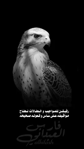 #ترند #شعر #اكسبلورexplore #viral #fypシ 