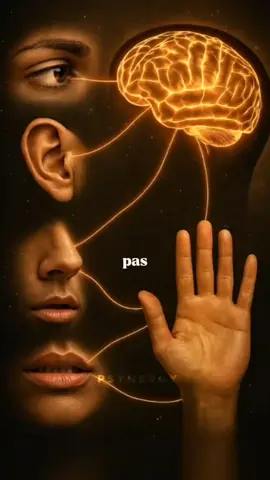 Abonne-toi pour découvrir comment reprendre le contrôle de ton esprit  ... ... #univers #pourtoi #manifestation #prière #francetiktok 