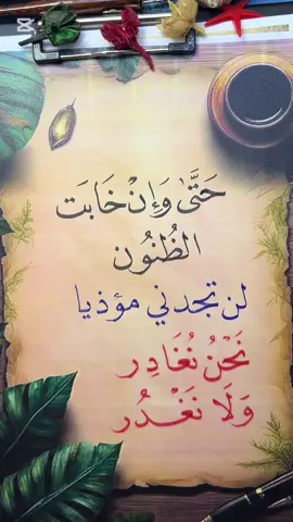 حتى وان خابت الظنون لن تجدني مؤذيا  نحن نغادر ولا نغدر  #خطاط_العين_مصطفى_سالم #خطاطين_مبدعين #خطاطين_مبدعين💛 #خطاط #خطاطين_مشهورين  
