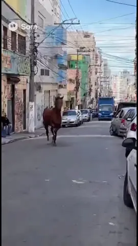 Real ou Fake? Como saber que o que você vê é de verdade? #sora2 #veo3 #ia #inteligenciaartificial 