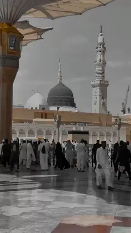 گِرنے والے جہاں سنبھلتے ہیں  . . . . #naatlyrics #islamic #typist #zariiasthetics #explore @EditsbyAhmed 