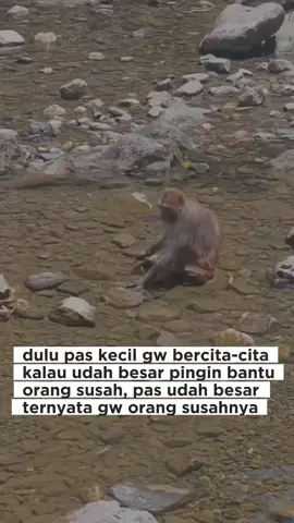 #CapCut #kocak #fyp #jajanantiktok 
