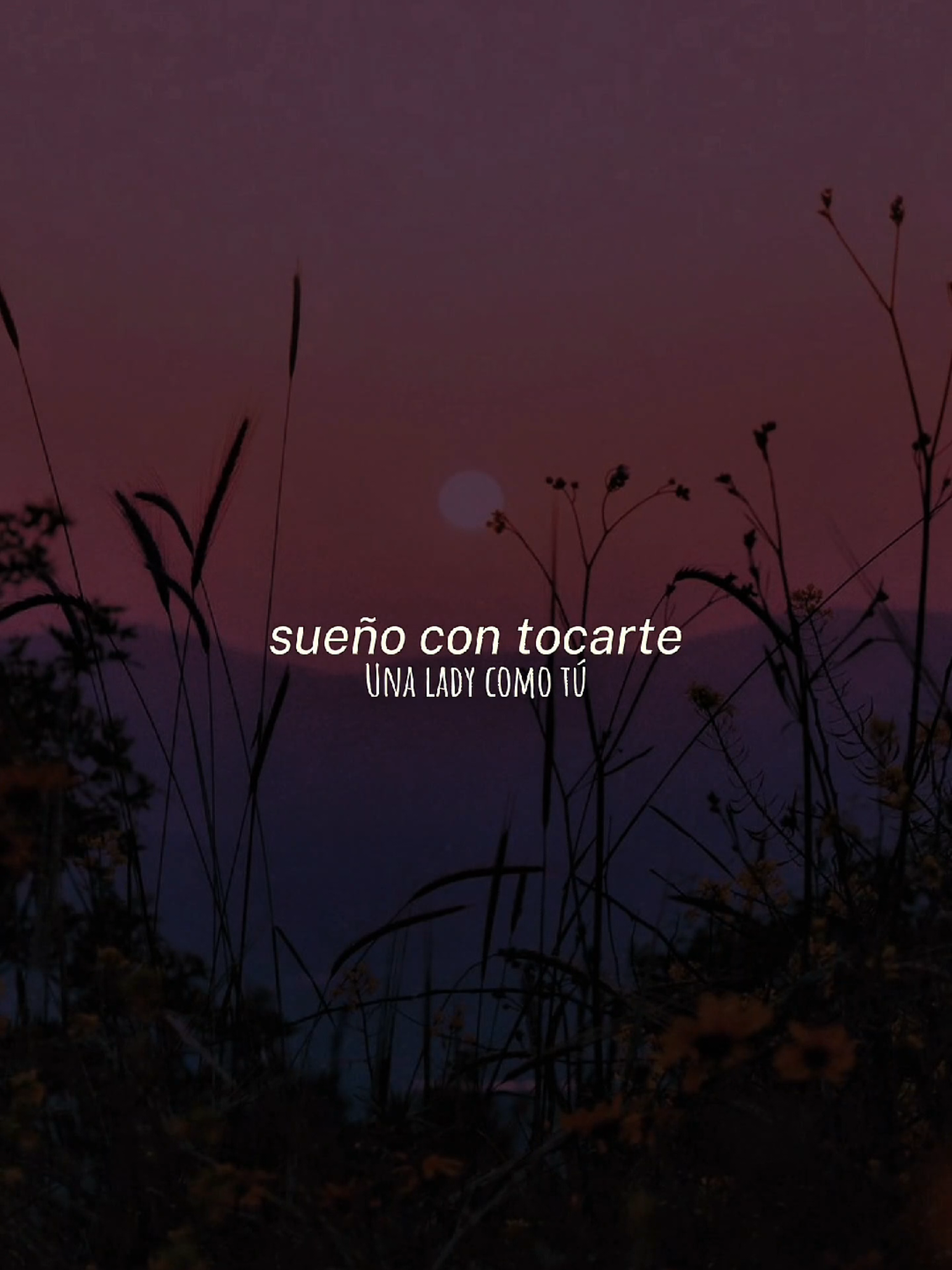 Una lady como tú - Manuel Turizo #manuelturizo #musica #rolitas #ParaTi #musicaparastatus 