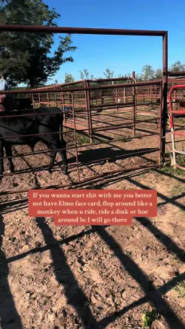 #horsetraining #western #coltstarting #beef #horses 