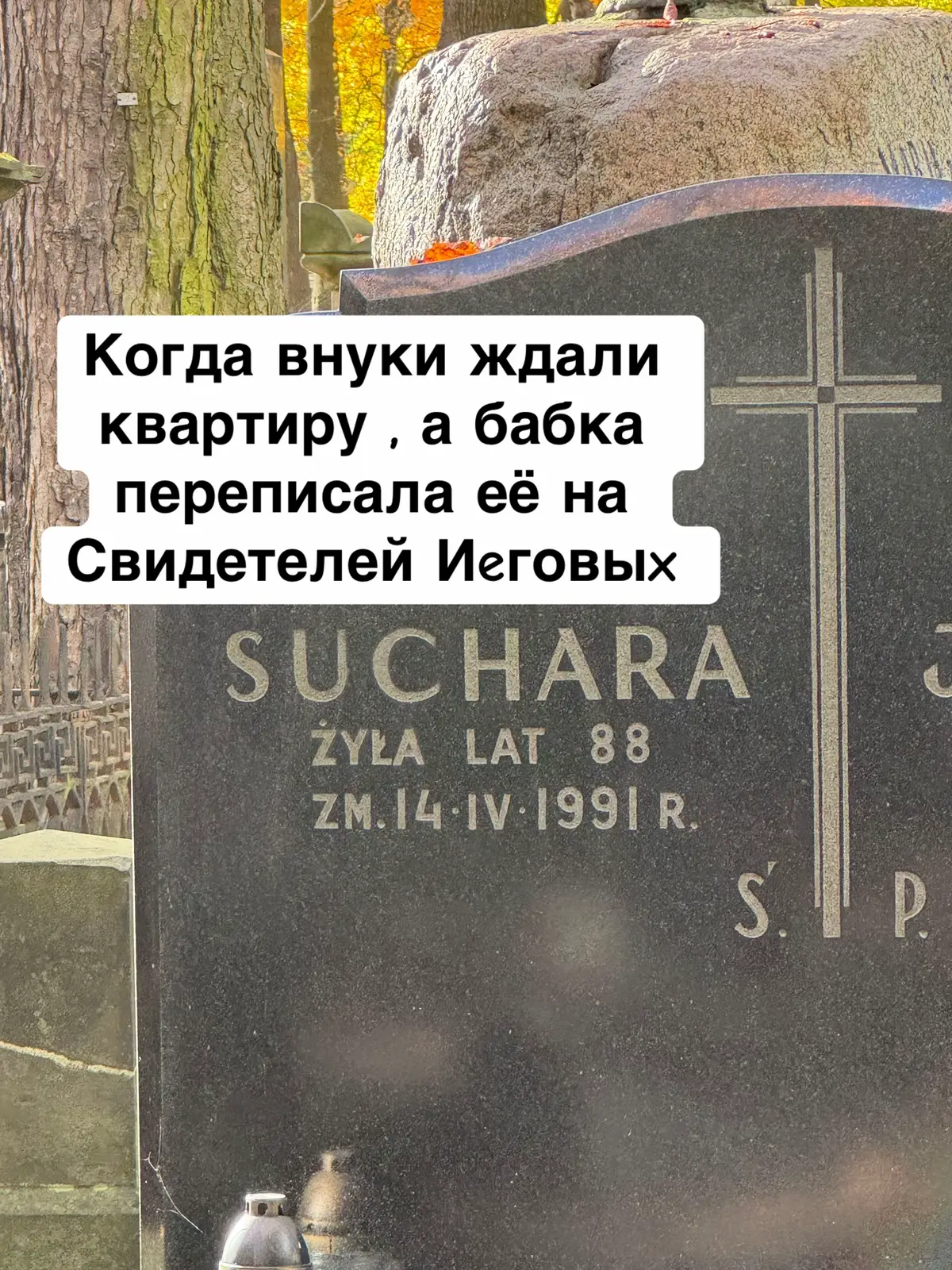 #юморприколы #черныйюмор #юмор #приколи #смех 