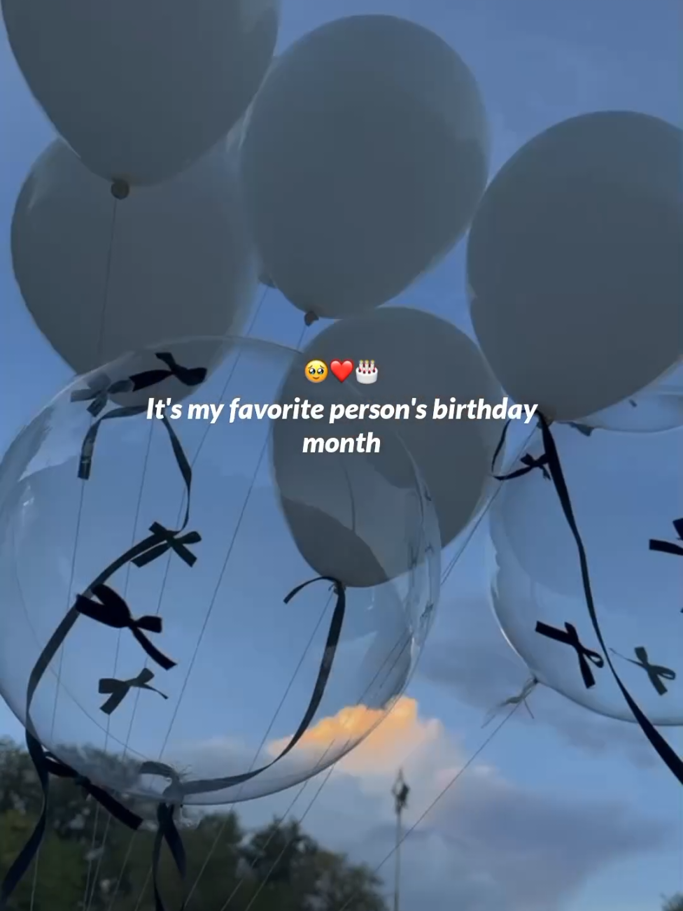 Favorite person's birthday month🥹❤️ #hisfav_gurlie #november #novemberbirthday #trending #viraltiktok 