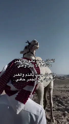 انكان جيت بالود…. #عبدالله_الزعيري #غناوي_علم_فااااهق🔥 #غناوي_علم_فااااهق🔥 #طبارقه🔱❤️ #شعراء_وذواقين_الشعر_الشعبي 