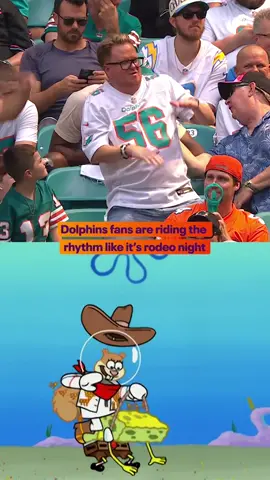 dancing Dolphins fans 🐬🕺 #NFLSlimetime 