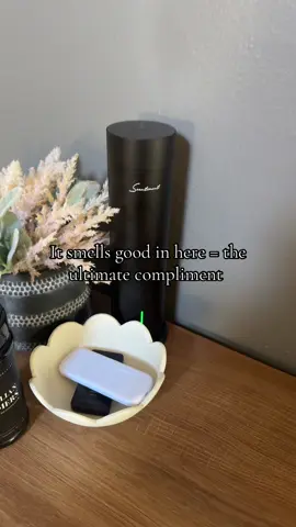 If you want your house to smell good all the time, I got you! @Scentiment #scentiment #homedecor #CleanTok #tiktokshopcreatorpicks 