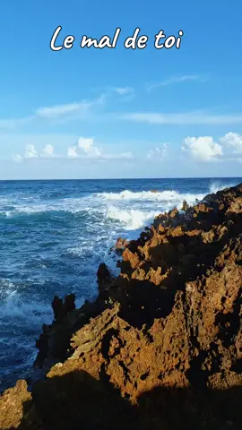 Jour après jour, j'ai toujours le mal de toi J'en ai marre de vivre Comme un bateau ivre au creux de la vague … Tu es ma tempête J'ai perdu la tête Déjà je divague … Ma raison s'égare Même ma guitare Ne sait plus chanter … Jour après jour, j'ai toujours le mal de toi Mon amour chavire Mon cœur se déchire Et tu m'abandonnes … Sans toi, que m'importe Où le temps m'emporte Je n'ai plus personne … J'ai perdu d'avance Ma dernière chance J'ai le mal de toi. #julioiglesias #spain #latino #mexico #brazil 