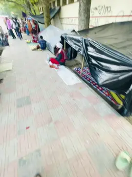 #only Lalon 😌##pyfツviral_pyfツvideoviralb🍁##pyfツviral_pyfツvideoviralb🍁##pyfツviral_pyfツvideoviralb🍁##pyfツviral_pyfツvideoviralb🍁