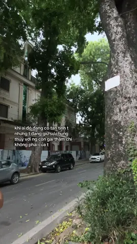 #wlw #xuhuong #chiyeuminhem 