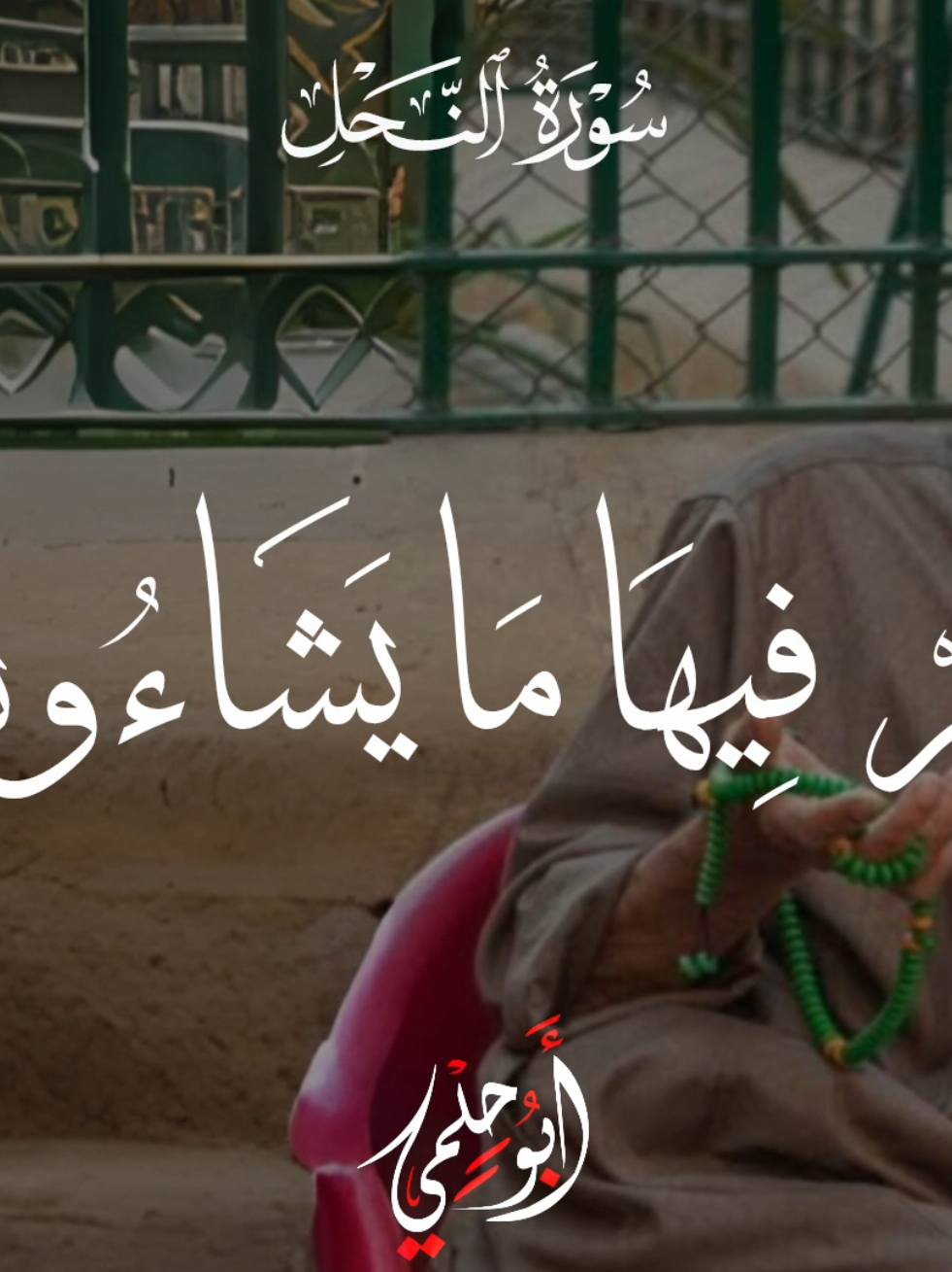لهم فيها ما يشاءون ♥️📻 . . . #السيد_سعيد #قران #quran 