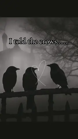 The crows don’t play. #witchtok #witchcraft #pagan #crows #revenge 