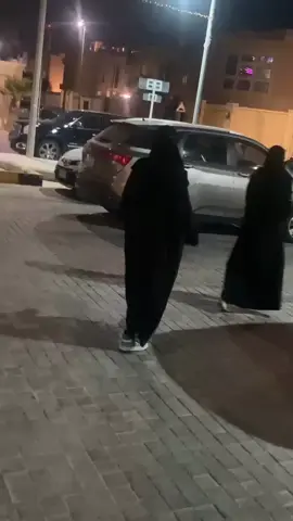 الأخت وطن و بدونها تصبح الحياة مجرد غربة❣️#اكسبلورexplore 