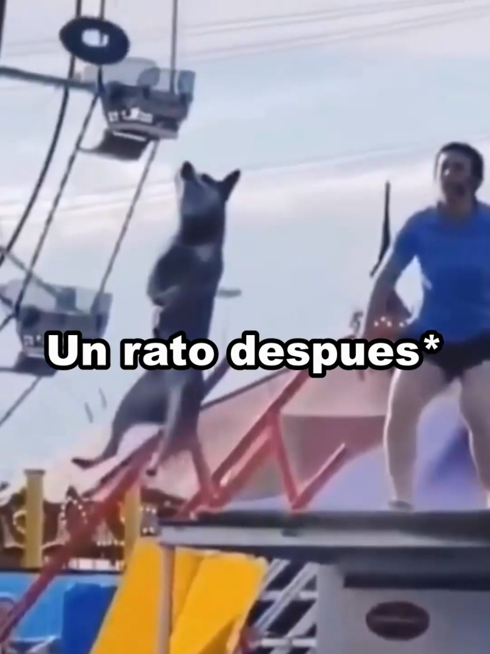 aldeanos cariñosos 😳🏃 #Minecraft #fyp #parati #viral #minecraftmemes 