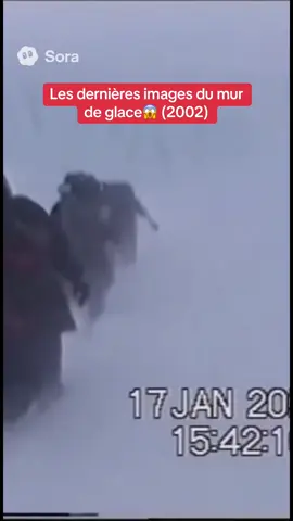 Ils se retrouvent le mur de glace, puis son porte disparu ##complot##icewall##antarctica##terreplate##alien