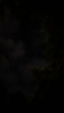 #بن_فطيس #ابها #fyp 