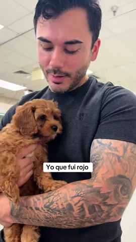 Mi bebé perfecto te amo más 